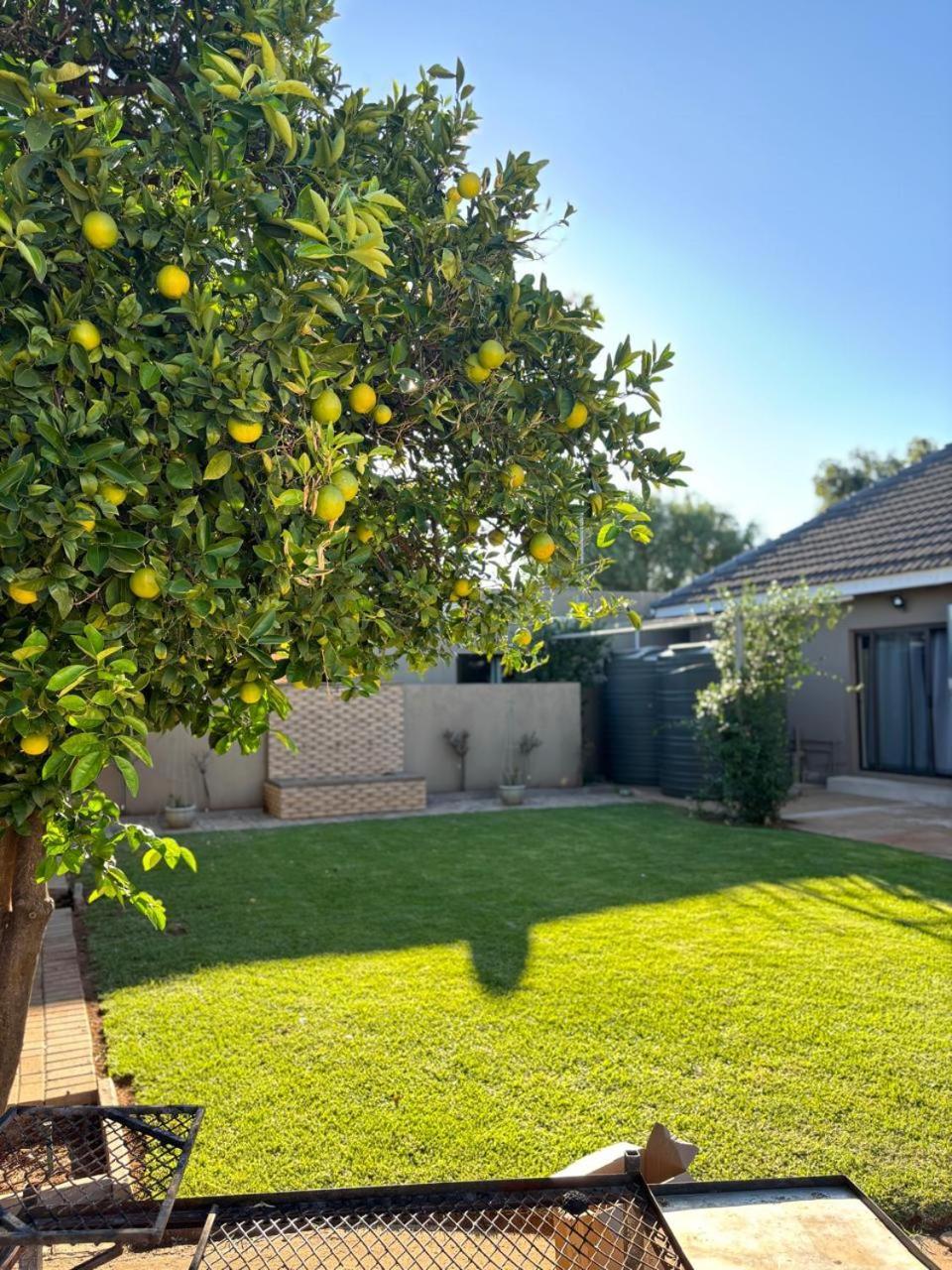 Carstens Garden Cottages Kimberley Exterior photo